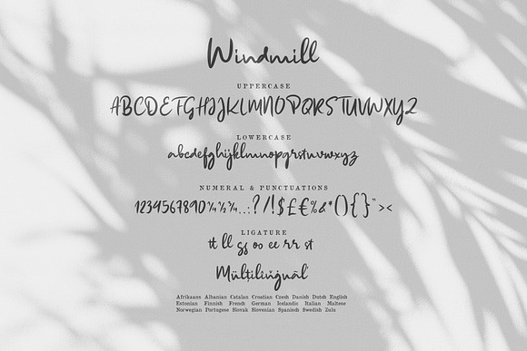 Windmill in Script Fonts - product preview 11