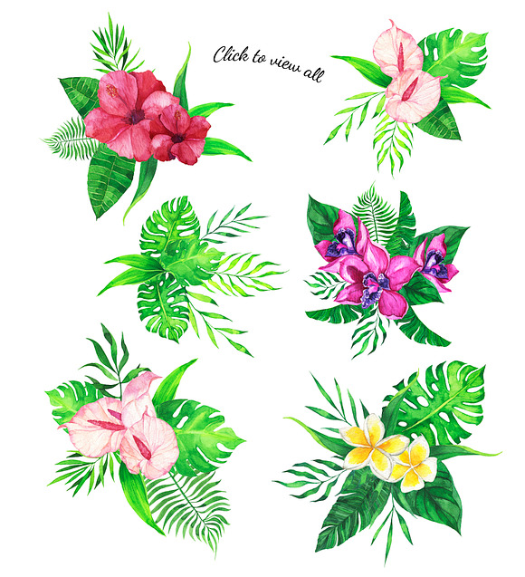 Tropic watercolor flower set in Illustrations - product preview 4