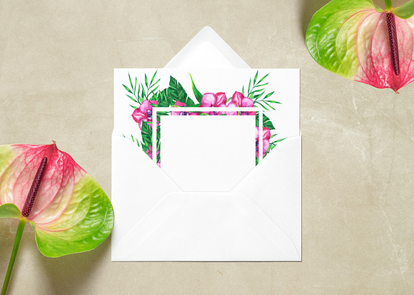 Tropic watercolor flower set in Illustrations - product preview 5