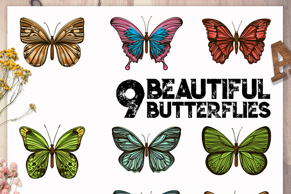 9 Beaitiful Butterflies