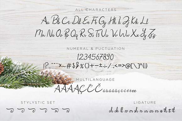Rhoselinna Handwritten Font in Script Fonts - product preview 6