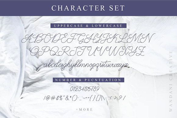 Abbassy Script in Script Fonts - product preview 5