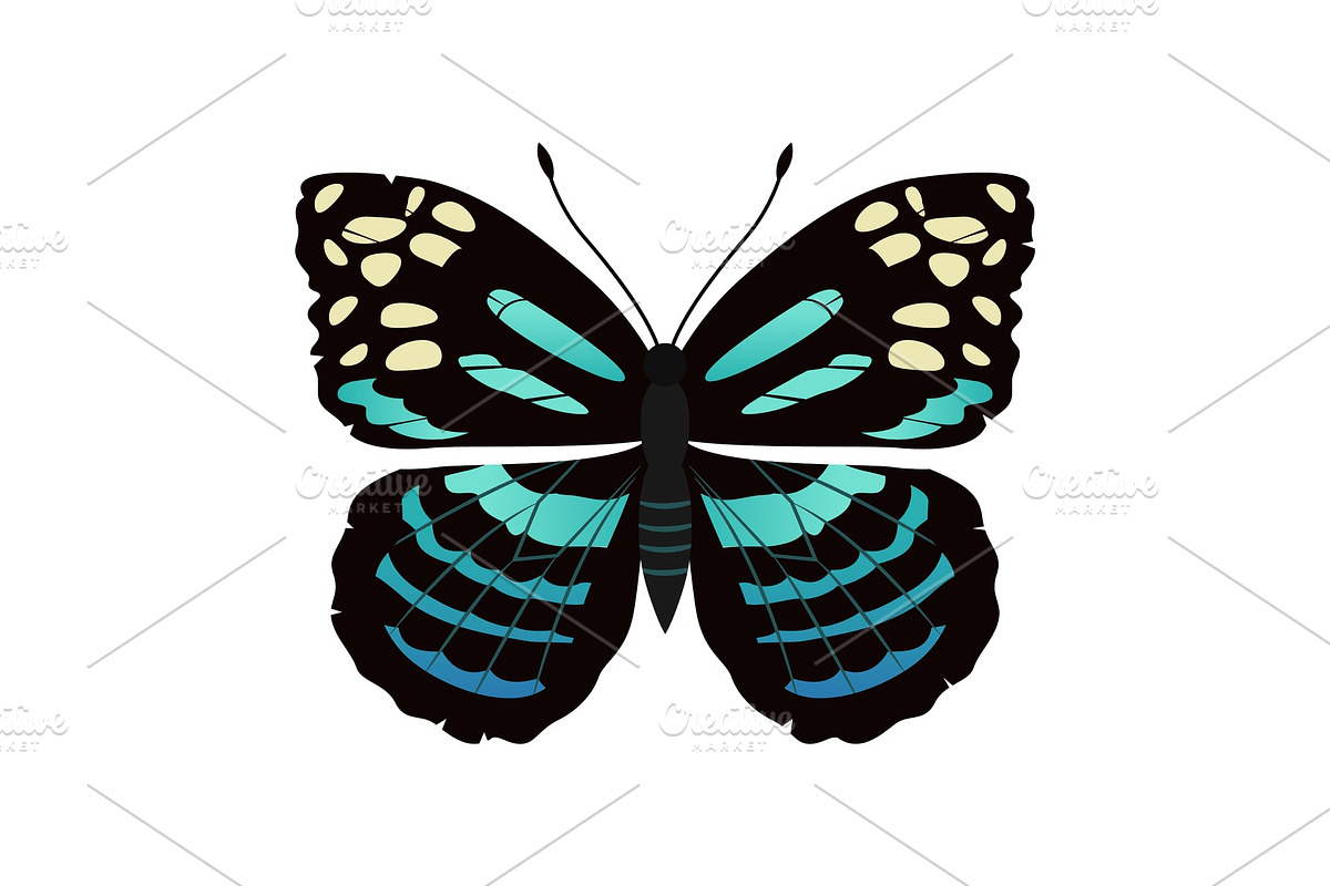 Parantica Melaneus Butterfly Vector in Illustrations - product preview 8