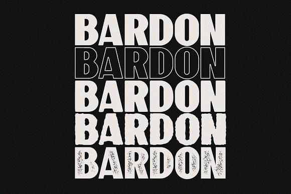 10 Font - Bardon Font Family in Display Fonts - product preview 5
