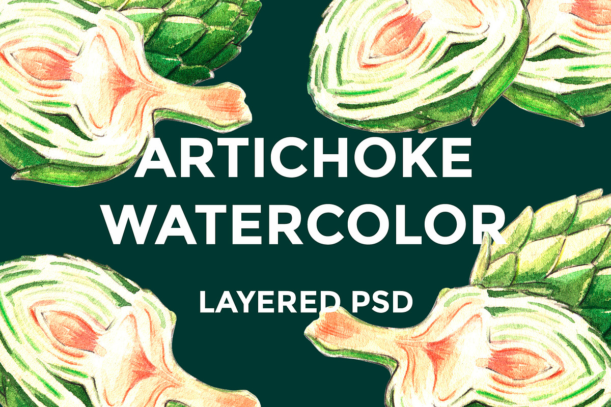 Artichoke watercolor in Illustrations - product preview 8