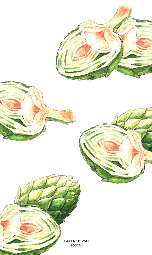 Artichoke watercolor in Illustrations - product preview 1