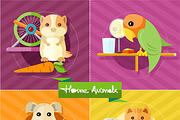 Hamster, Parrot, Cat and Dog