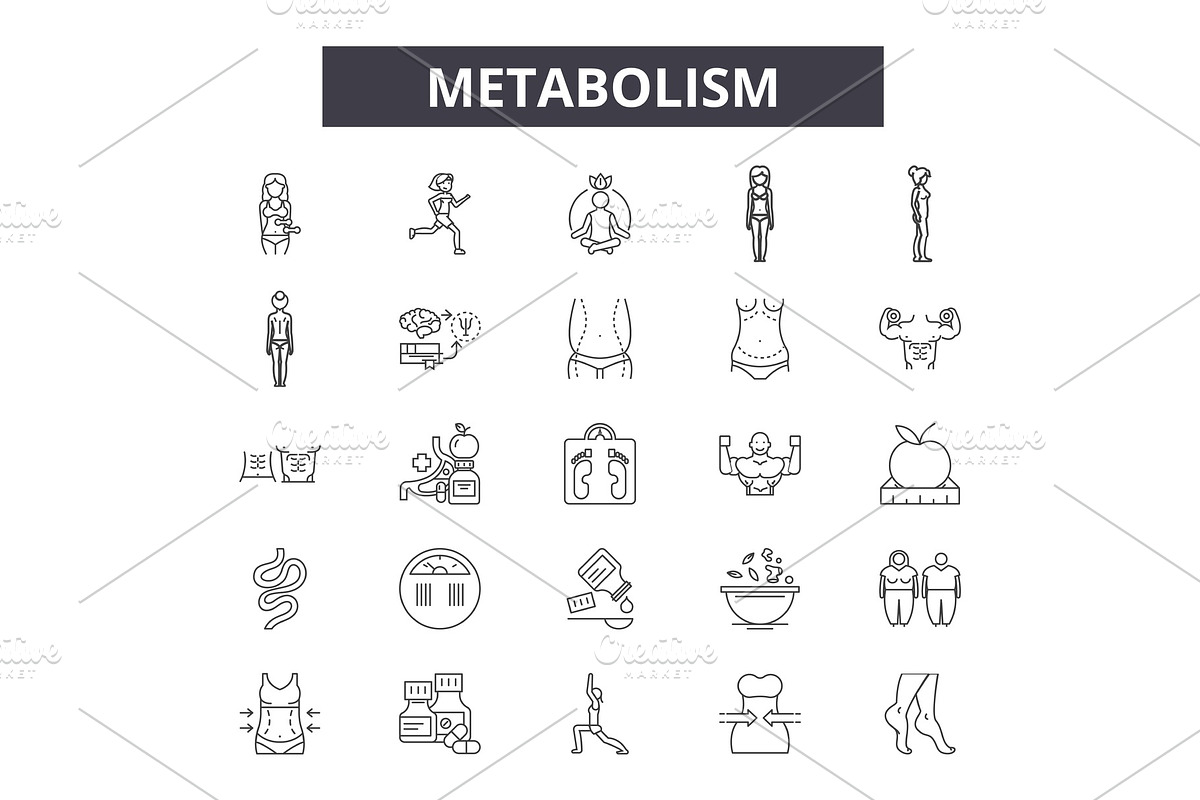 Metabolism line icons, signs set in Objects - product preview 8