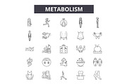 Metabolism line icons, signs set