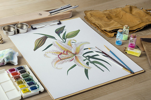 Lily White Flowers Lilies in Illustrations - product preview 5