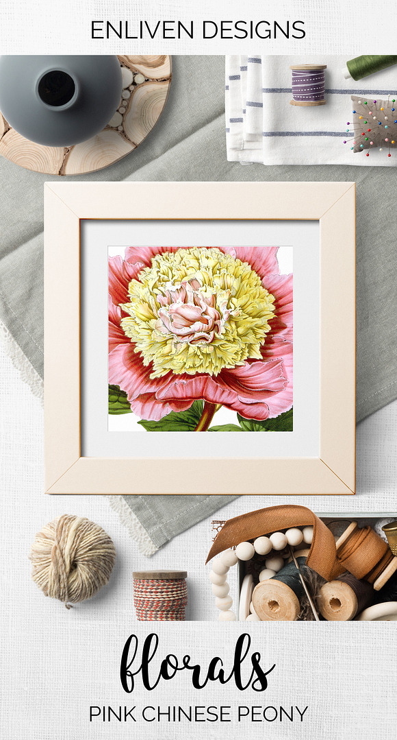 Peony Clipart Pink Flowers in Illustrations - product preview 8