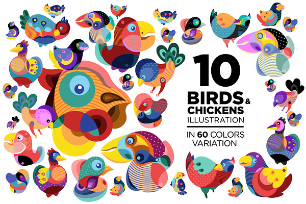 10 Birds and Chicken Illustration