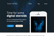 Panthera + Online Template Builder