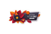 Autumn sale banner with leaves and