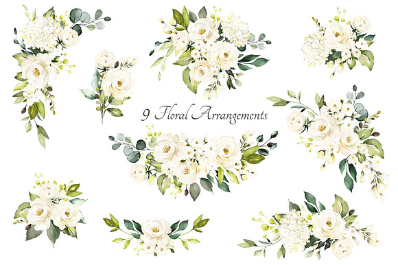 White roses. Watercolor floral set in Illustrations - product preview 1