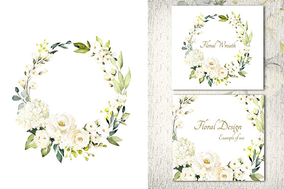 White roses. Watercolor floral set in Illustrations - product preview 5