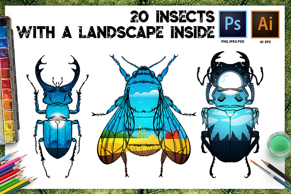 20 Insects with Landscapes Inside