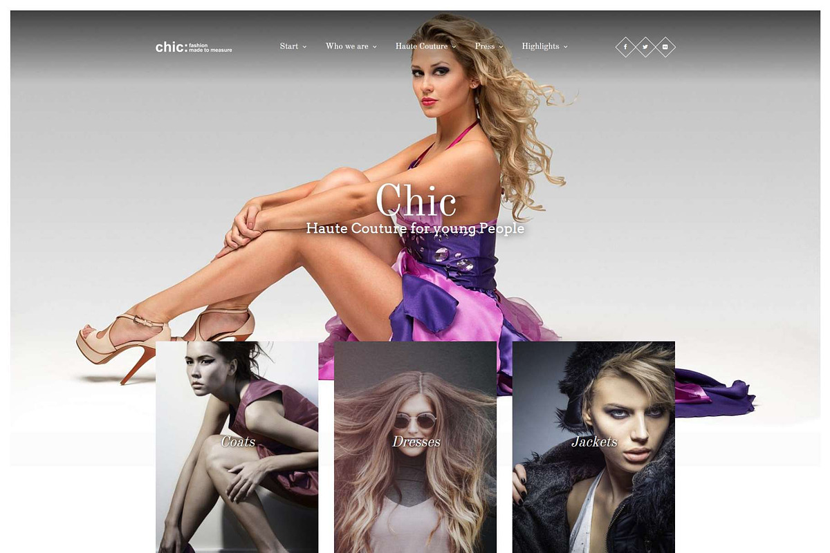 Chic - Fashion WordPress Theme in WordPress Commerce Themes - product preview 8