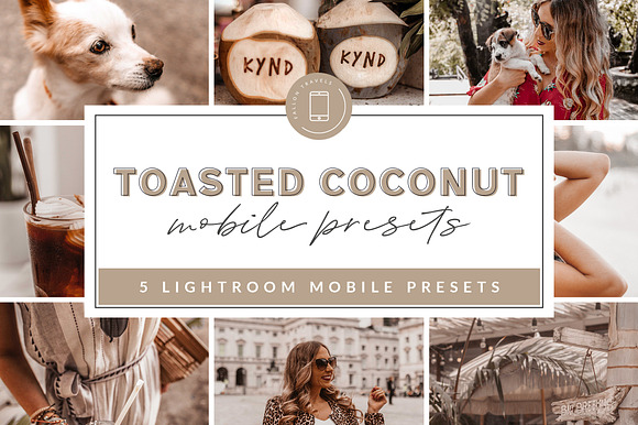 Toasty Lightroom Mobile Presets in Add-Ons - product preview 21