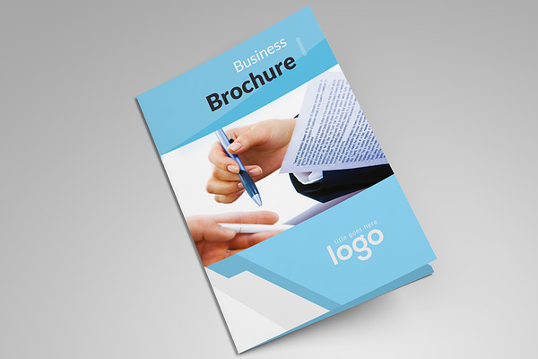 Business Bi-fold Brochure