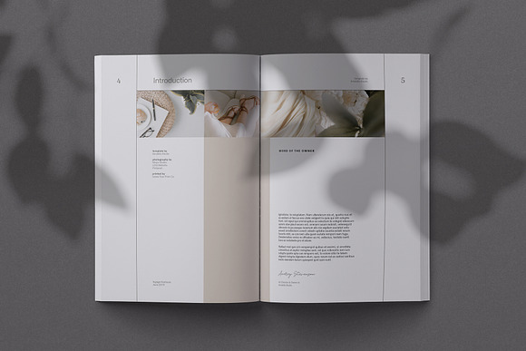 Inge Portfolio in Brochure Templates - product preview 2