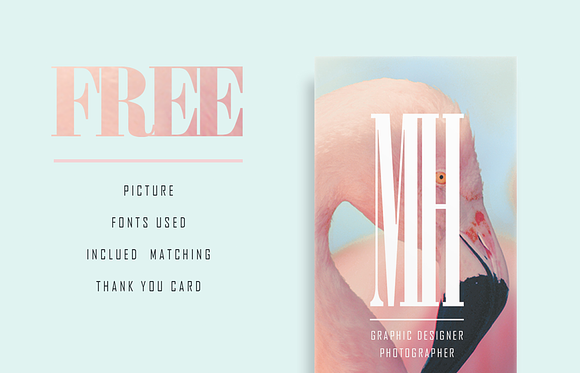Flamingo Pack Card Template in Business Card Templates - product preview 2