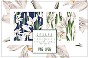 Irises (patterns & flowers)