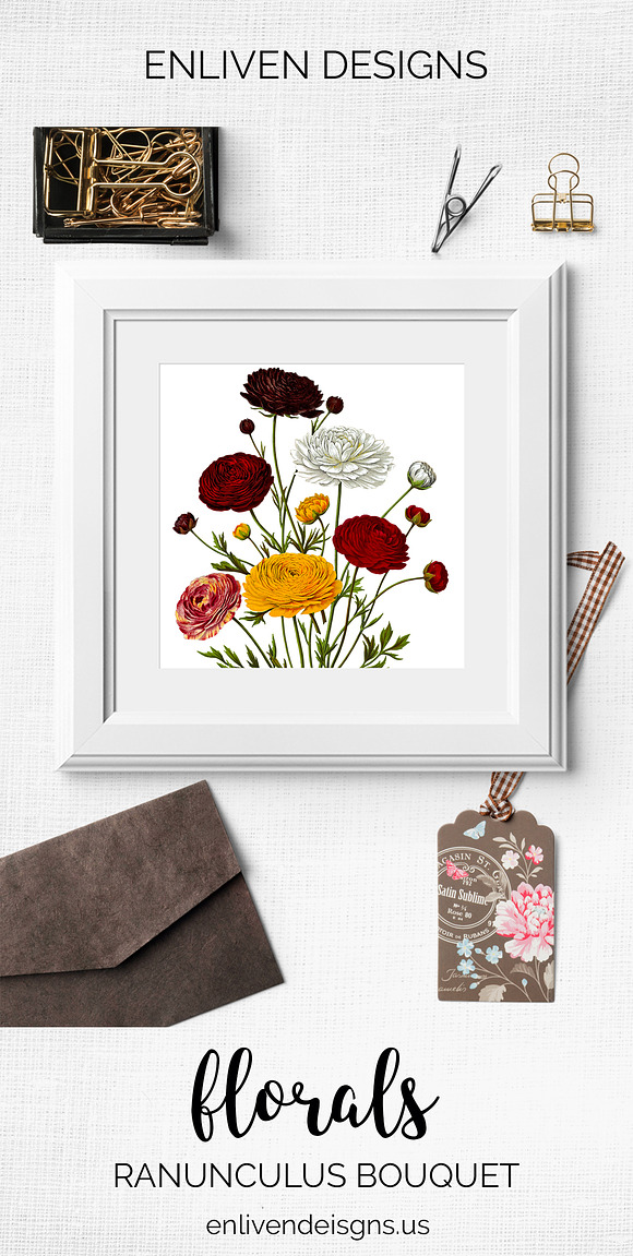 Ranunculus Flower Ranunculus in Illustrations - product preview 7