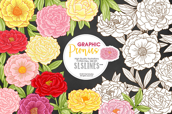 Peony Florals in Pink, Red & Yellow
