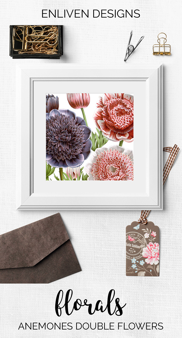 Anemone Flower in Illustrations - product preview 7