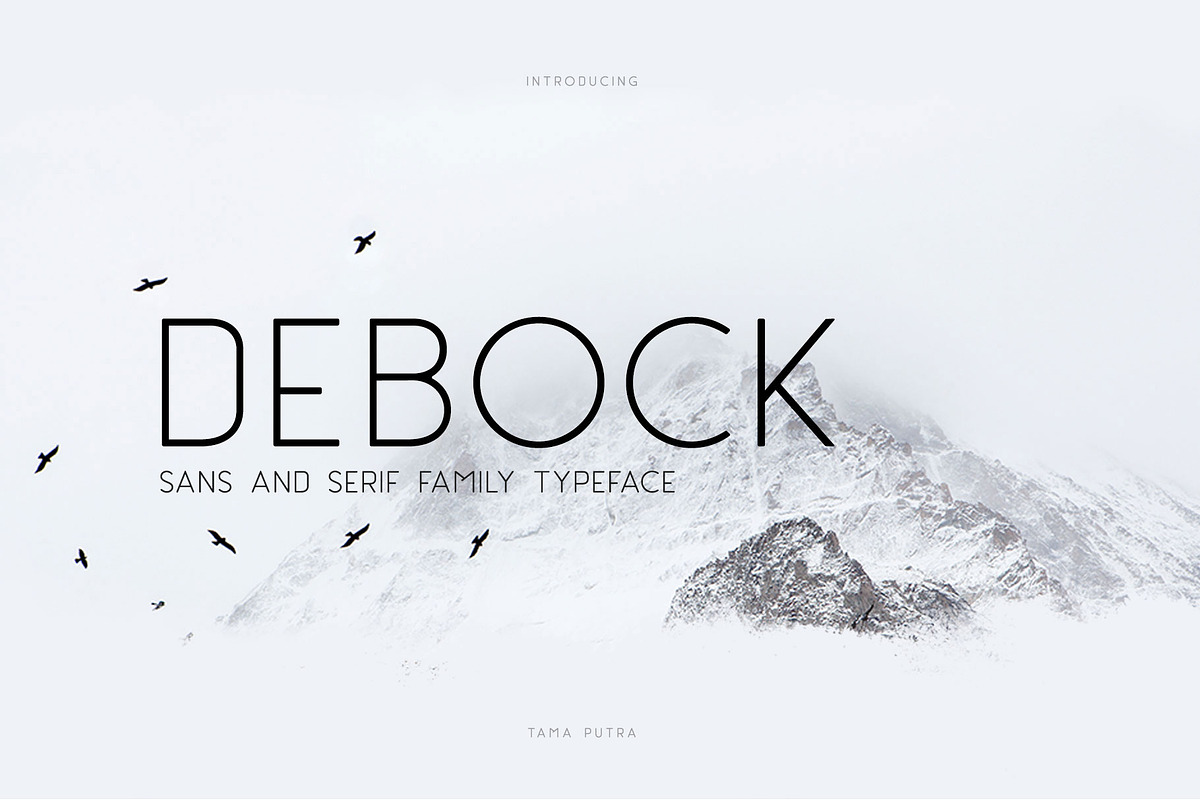 Debock Family Font 30% Off in Slab Serif Fonts - product preview 8