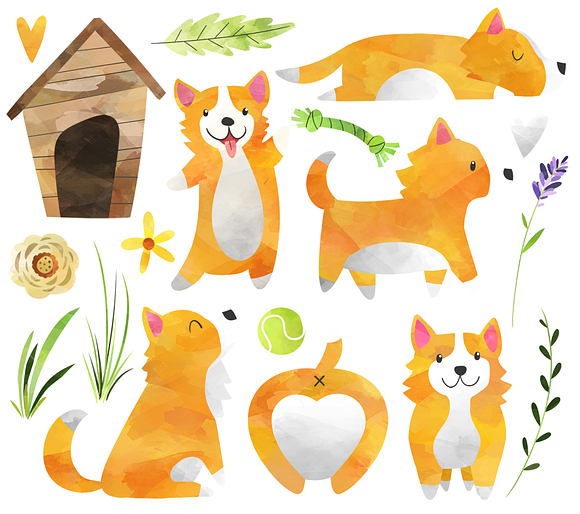 Watercolor Corgis Clipart in Illustrations - product preview 2