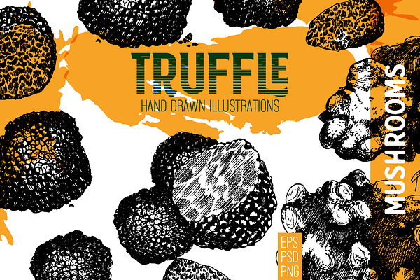 Truffle. Mushroom hand drawn set