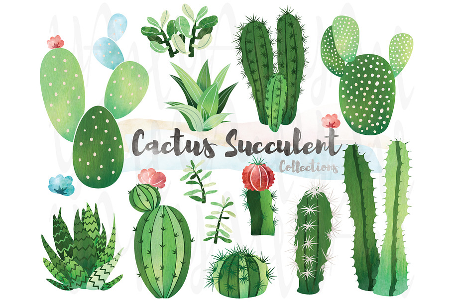 Watercolor Cactus Succulent Set