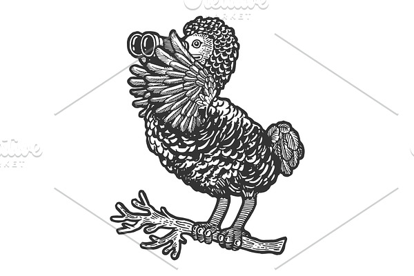 Dodo bird and binoculars sketch