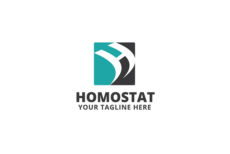 Homostat Logo Template in Logo Templates - product preview 8