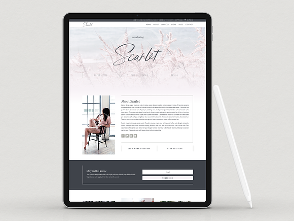 The Scarlet-Wordpress Divi Theme in WordPress Business Themes - product preview 1