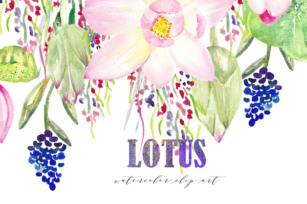 Lotus. Watercolor Clip Art.