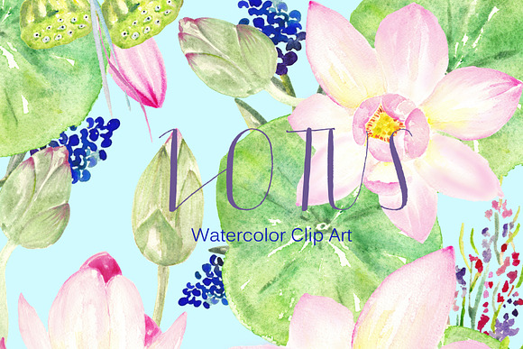 Lotus. Watercolor Clip Art. in Illustrations - product preview 1