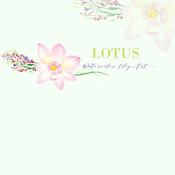 Lotus. Watercolor Clip Art. in Illustrations - product preview 2