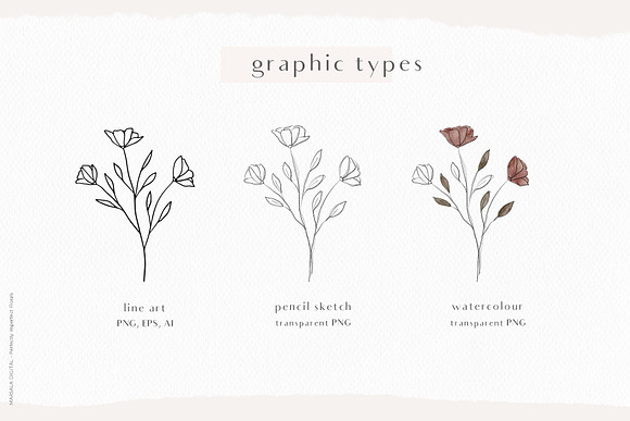 Watercolor & Pencil Sketch Florals in Illustrations - product preview 2