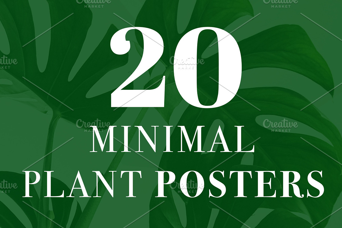 20 Minimal Plant Posters for Decors in Instagram Templates - product preview 8