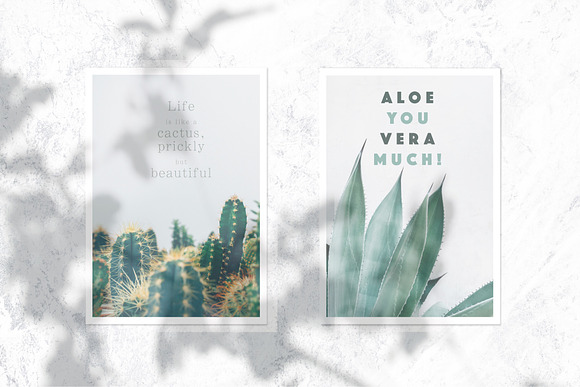 20 Minimal Plant Posters for Decors in Instagram Templates - product preview 4