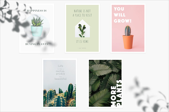 20 Minimal Plant Posters for Decors in Instagram Templates - product preview 5