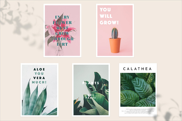 20 Minimal Plant Posters for Decors in Instagram Templates - product preview 6