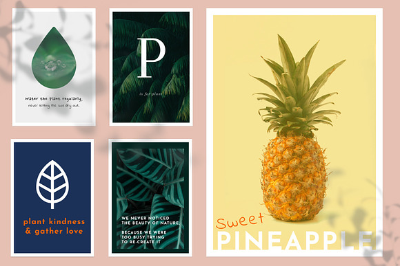 20 Minimal Plant Posters for Decors in Instagram Templates - product preview 7