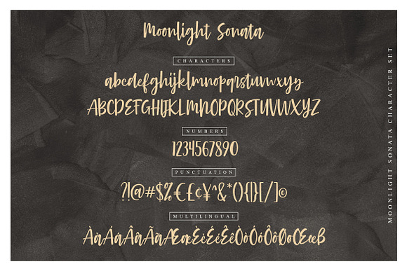 Moonlight Sonata in Script Fonts - product preview 4