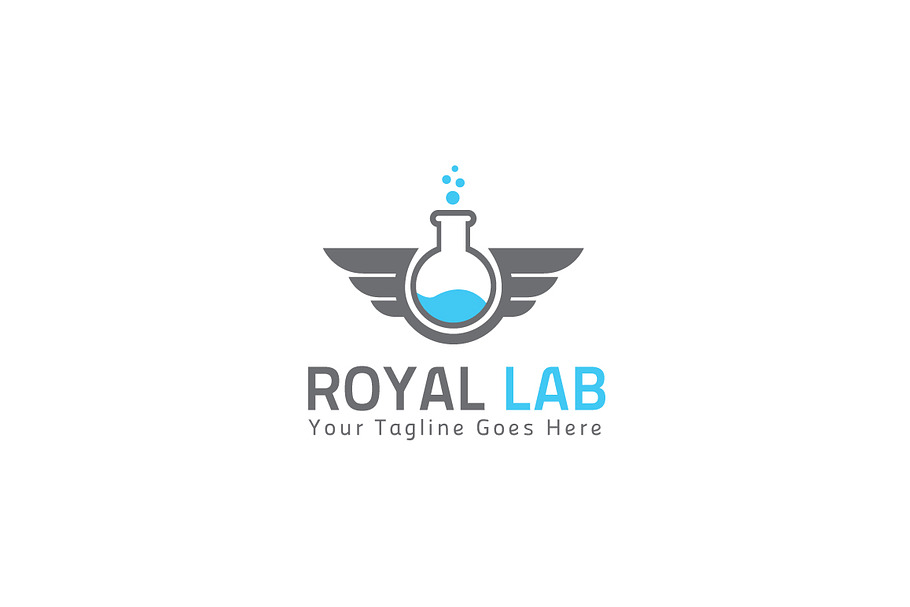 Royal Lab Logo Template in Logo Templates - product preview 8