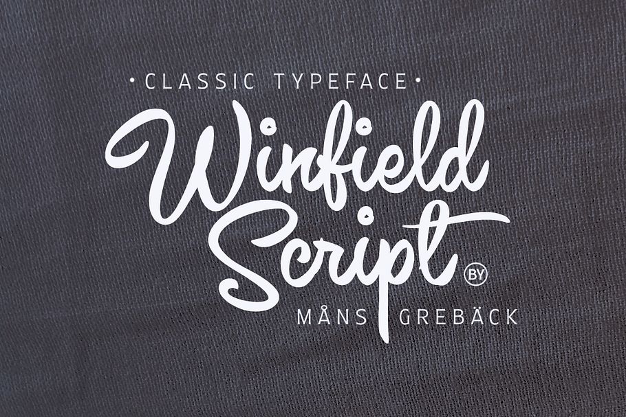 Winfield Script - Classic Typeface in Script Fonts - product preview 8