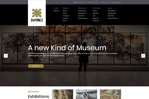 Davinci - Museum WordPress Theme
